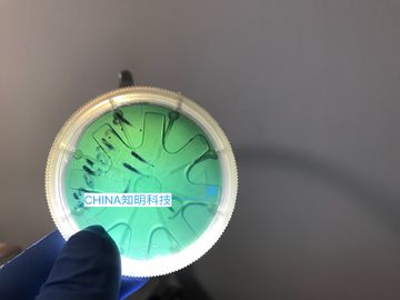 Bom preço 2 tipo lingotes da bolacha do carboneto de silicone da POLEGADA 6H-N das bolachas 330um sic de cristal de MPD 50cm on-line